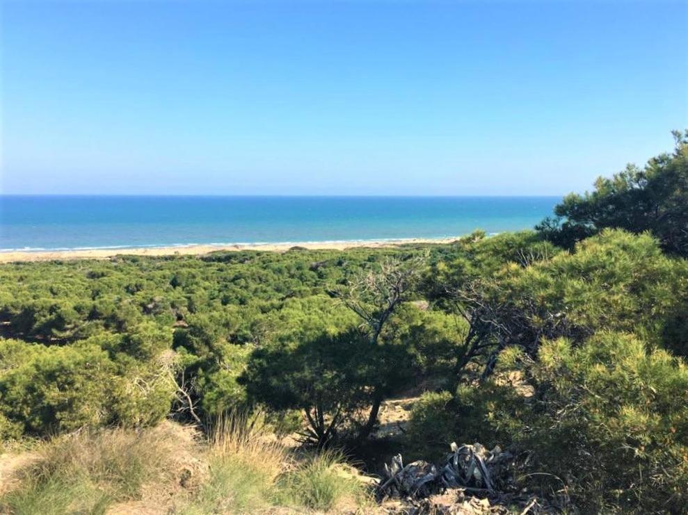 Casa Jirafa Con La Vista Villa Gran Alacant Kültér fotó